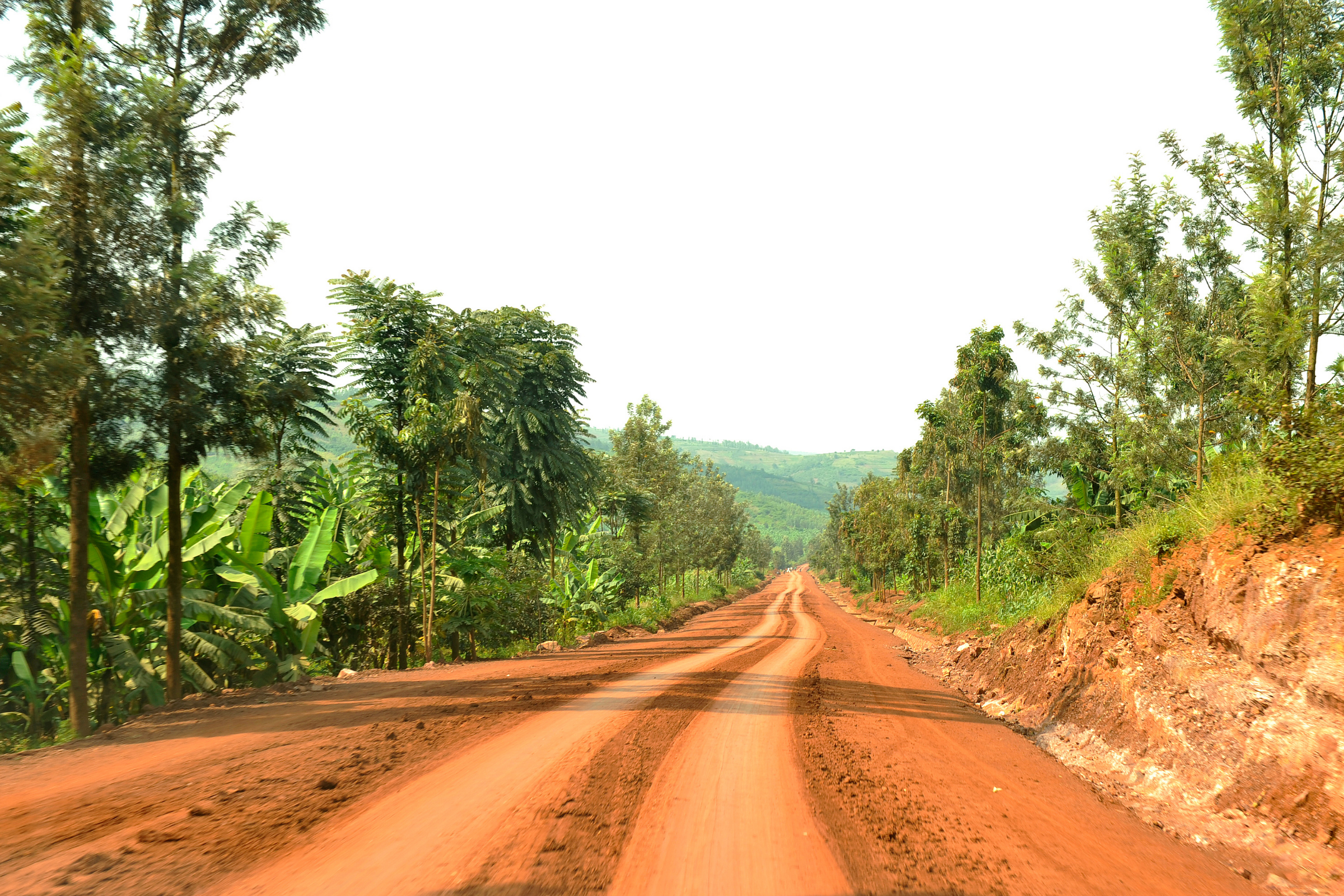akagera national park (3).webp